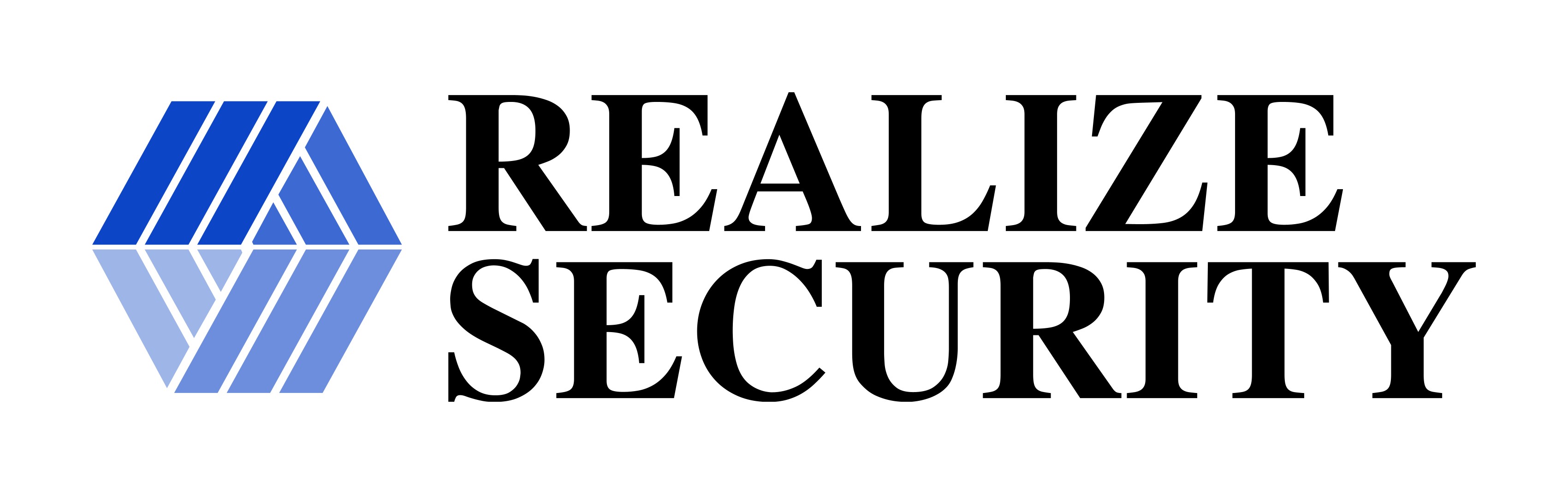 Realize Security logo